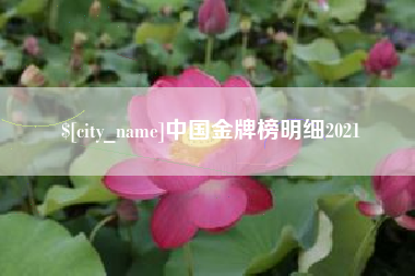 南昌中国金牌榜明细2021