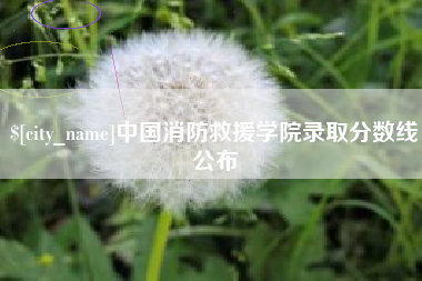 南昌中国消防救援学院录取分数线公布