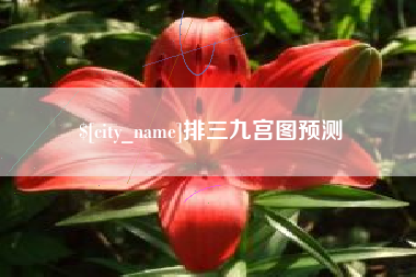 南昌排三九宫图预测