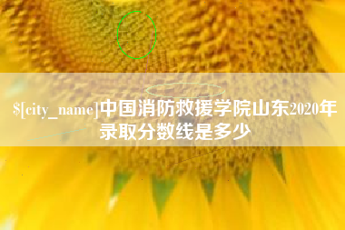 南昌中国消防救援学院山东2020年录取分数线是多少