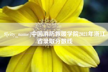 南昌中国消防救援学院2021年浙江省录取分数线