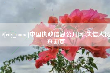南昌中国执政信息公开网-失信人员查询页