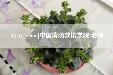 南昌中国消防救援学院 老师