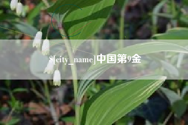 南昌中国第9金
