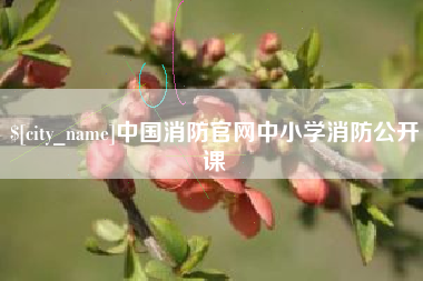 南昌中国消防官网中小学消防公开课