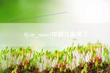 南昌中国几金牌了
