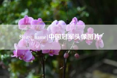 南昌中国冠军头像图片