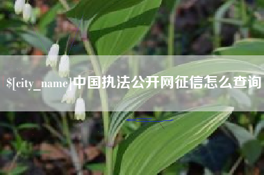 南昌中国执法公开网征信怎么查询