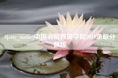 南昌中国消防救援学院2019录取分数线