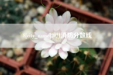 南昌2021消防分数线