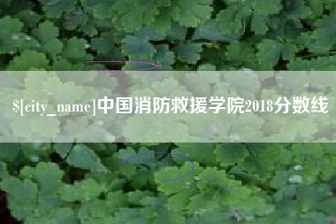 南昌中国消防救援学院2018分数线