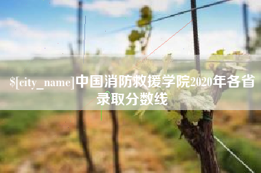 南昌中国消防救援学院2020年各省录取分数线