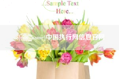 南昌中国执行网信息官网