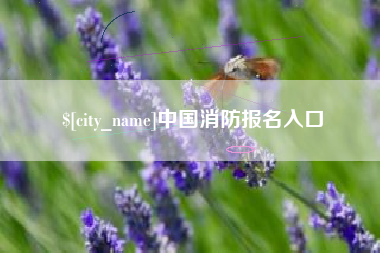 南昌中国消防报名入口