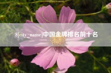南昌中国金牌排名前十名