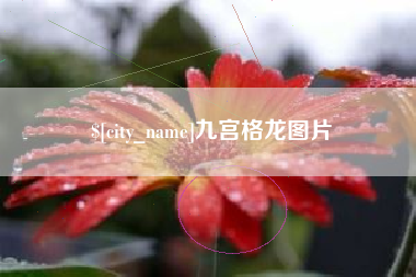 南昌九宫格龙图片