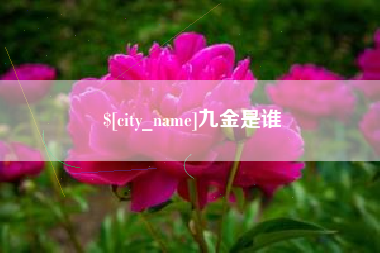 南昌九金是谁