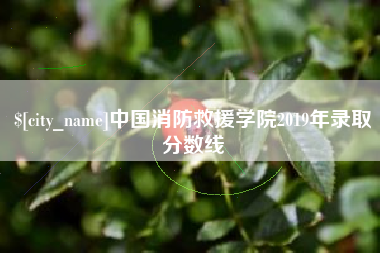 南昌中国消防救援学院2019年录取分数线