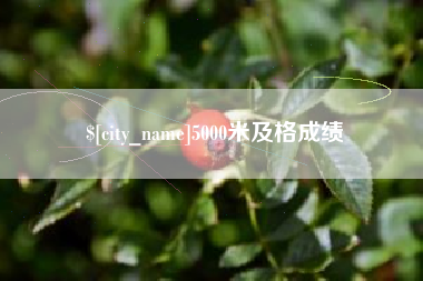 南昌5000米及格成绩