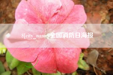 南昌全国消防日海报