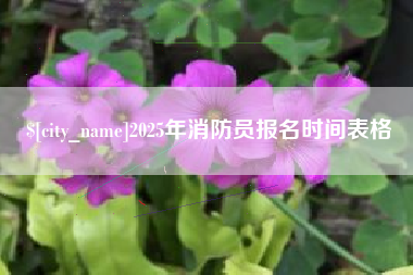 南昌2025年消防员报名时间表格