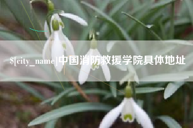 南昌中国消防救援学院具体地址