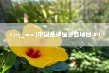 南昌中国金牌是哪些项目2021