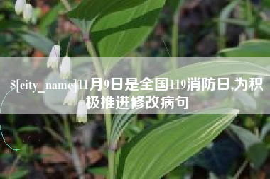 南昌11月9日是全国119消防日,为积极推进修改病句