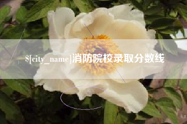 南昌消防院校录取分数线