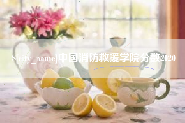 南昌中国消防救援学院分数2020