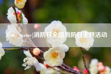 南昌消防日全国消防日主题活动