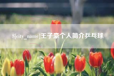 南昌王子豪个人简介乒乓球