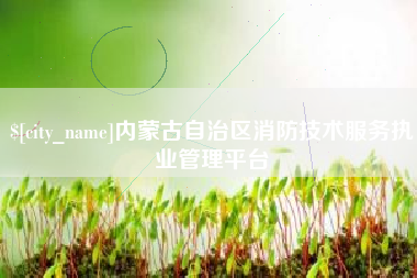 南昌内蒙古自治区消防技术服务执业管理平台