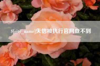 南昌失信被执行官网查不到