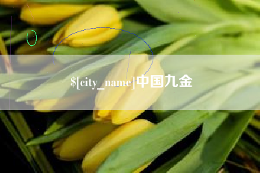 南昌中国九金