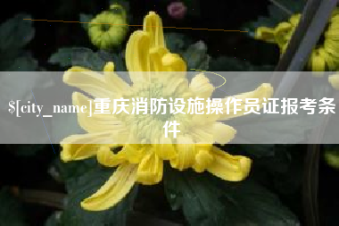 南昌重庆消防设施操作员证报考条件
