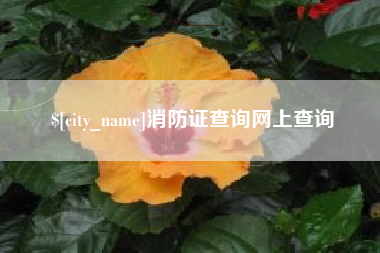 南昌消防证查询网上查询