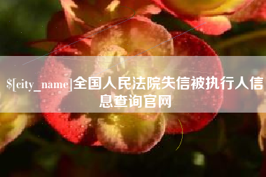 南昌全国人民法院失信被执行人信息查询官网