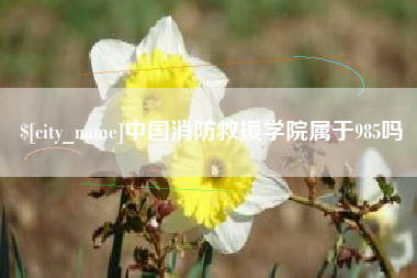 南昌中国消防救援学院属于985吗