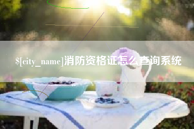 南昌消防资格证怎么查询系统