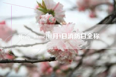 南昌11月9日消防日全称