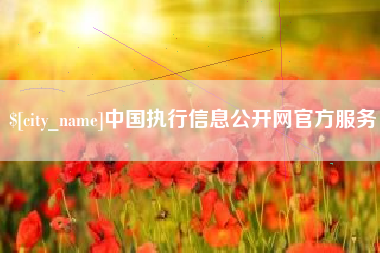 南昌中国执行信息公开网官方服务
