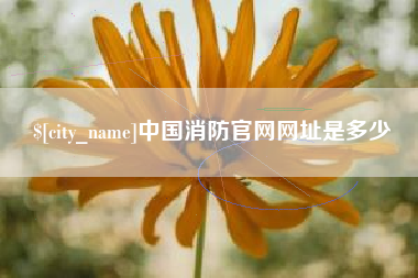 南昌中国消防官网网址是多少