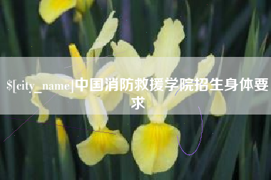 南昌中国消防救援学院招生身体要求