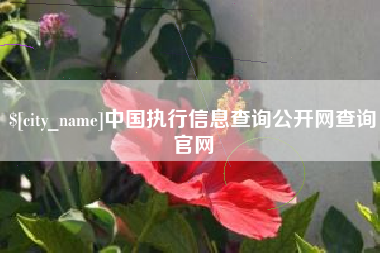 南昌中国执行信息查询公开网查询官网