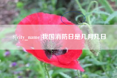 南昌我国消防日是几月几日