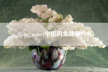 南昌中国的金牌有几名