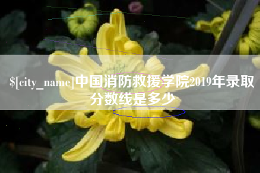 南昌中国消防救援学院2019年录取分数线是多少