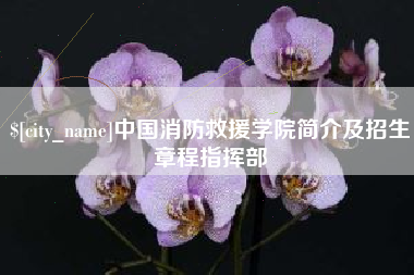 南昌中国消防救援学院简介及招生章程指挥部