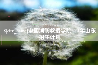 南昌中国消防救援学院2021年山东招生计划